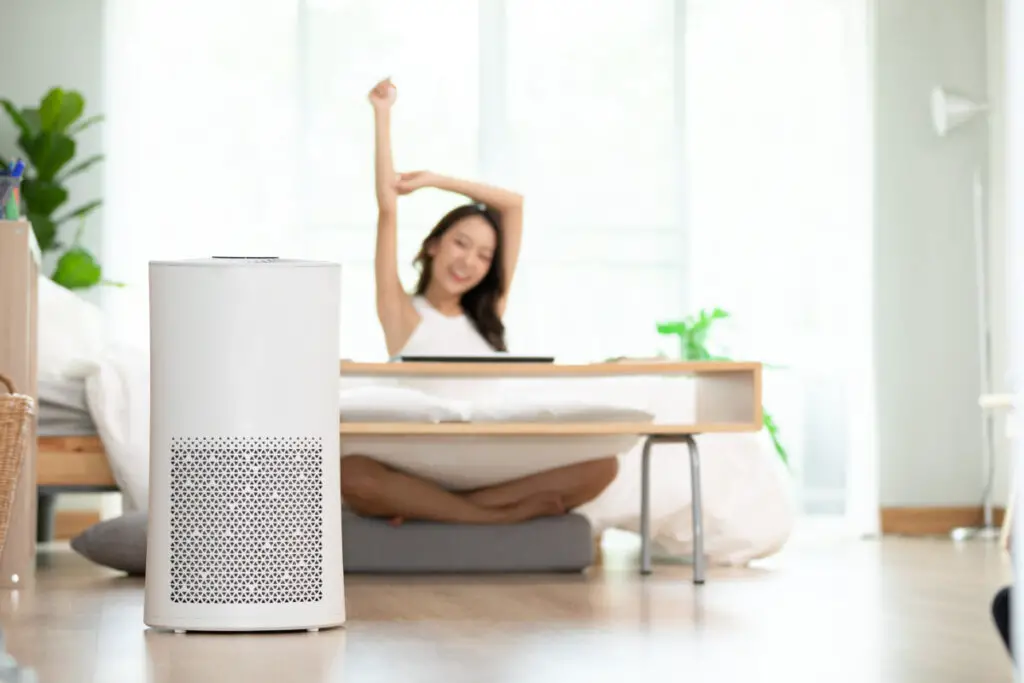 When And How To Change Your Levoit Filter Plentiful Air