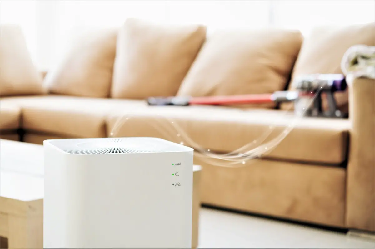 Medify Air Purifiers That Can Remove Mold