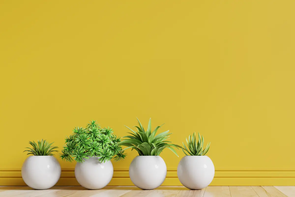 Why Your House Smells Like Ammonia (Or Urine) And How To Fix It