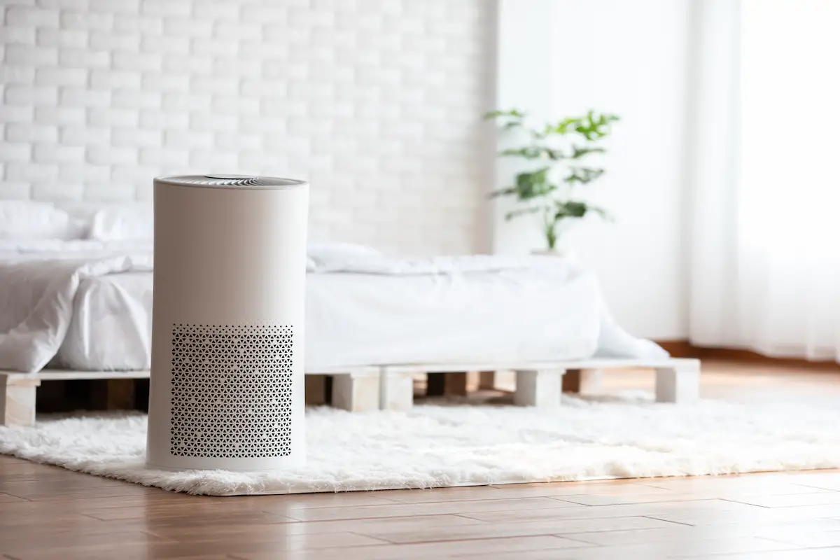 Top 20 Air Purifiers For Eliminating Mold