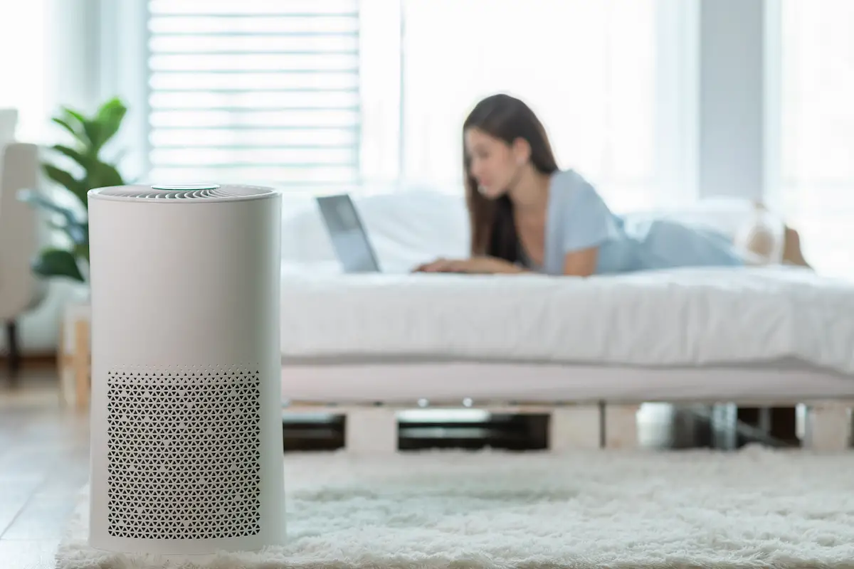 The Top Rated Air Purifiers For Dust Removal