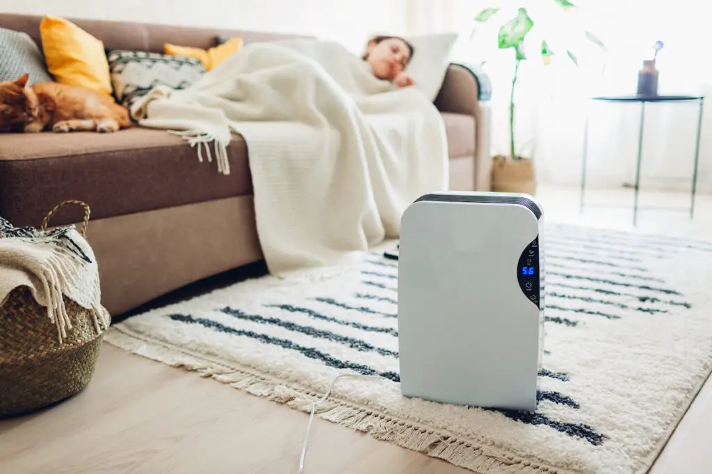 8 Reasons To Turn Off Your Dehumidifier Plentiful Air