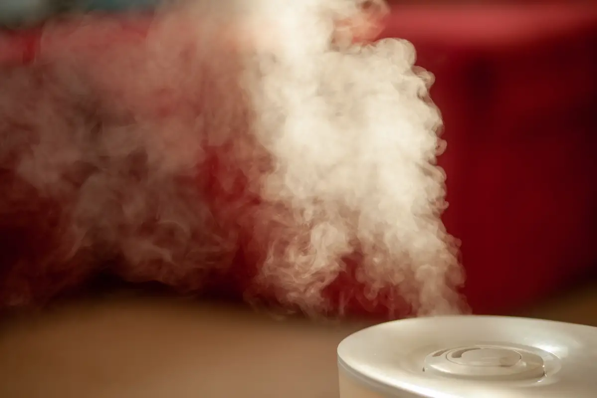 Brown Stuff In Your Humidifier – What Is It And How To Remove It