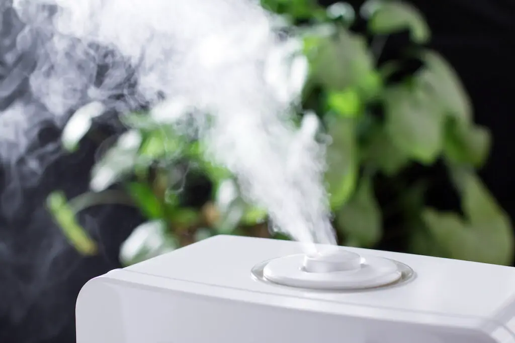 How To Reset A Levoit Humidifier A Complete Guide Plentiful Air