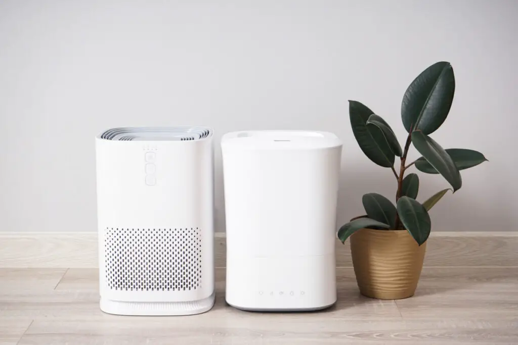 Using A Humidifier And Air Purifier Together Pros And Cons