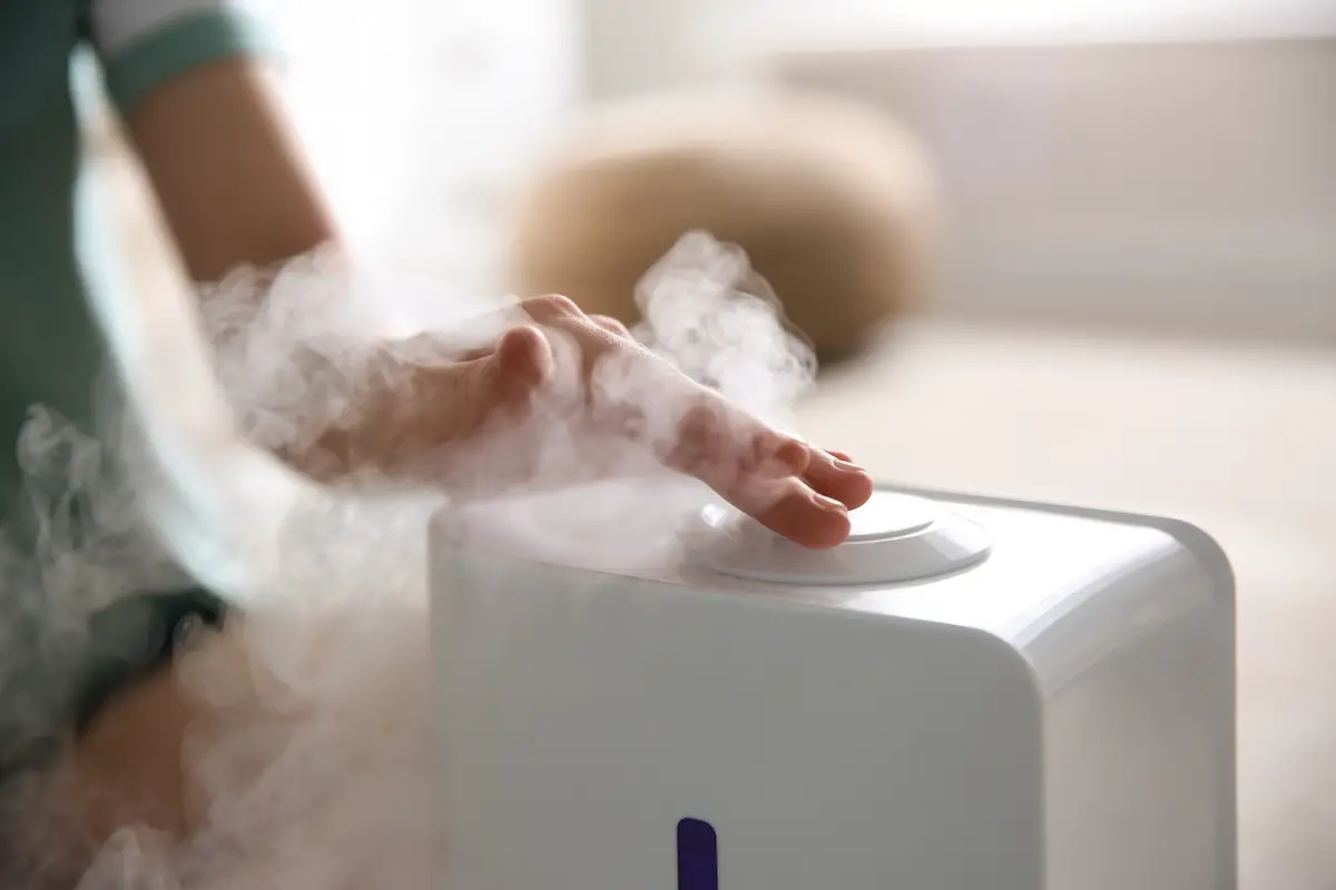 All The Reasons Why Your Humidifier Is Not Working