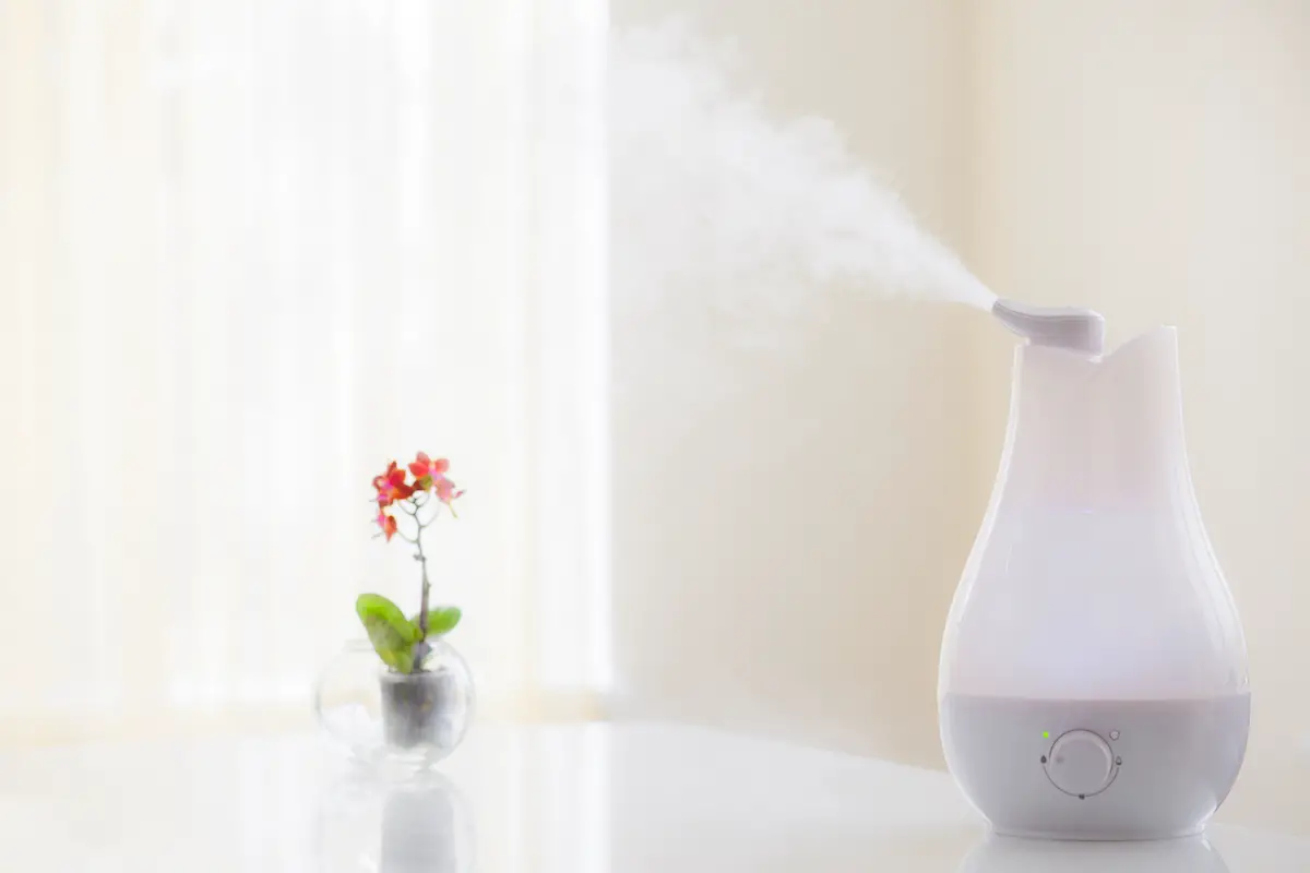 Humidifiers That Are Easy To Clean – Type, Components And Apertures