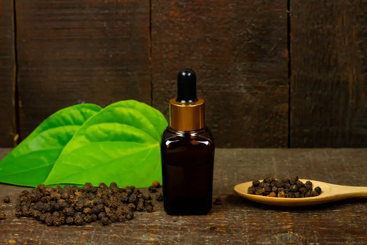 Essential Oils Rich In Beta Caryophyllene – Fragrance And Benefits