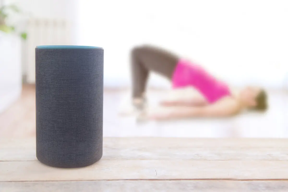 Diffusers Compatible With Alexa – Apps, Benefits And Features