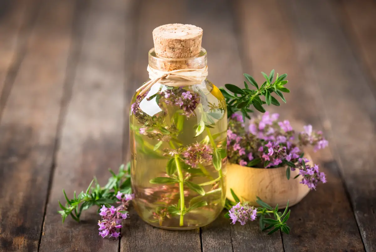 Essential Oils High In Aldehydes – Benefits And Source