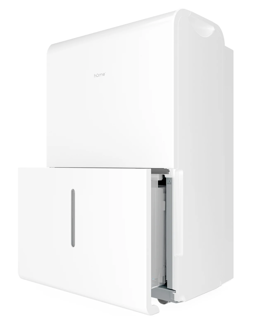 Humidifiers Attracting Bugs Relative Humidity And Insect Receptors