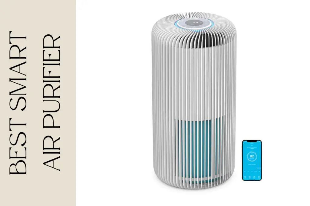 This image has an empty alt attribute; its file name is best-air-purifier-1-1024x683.png