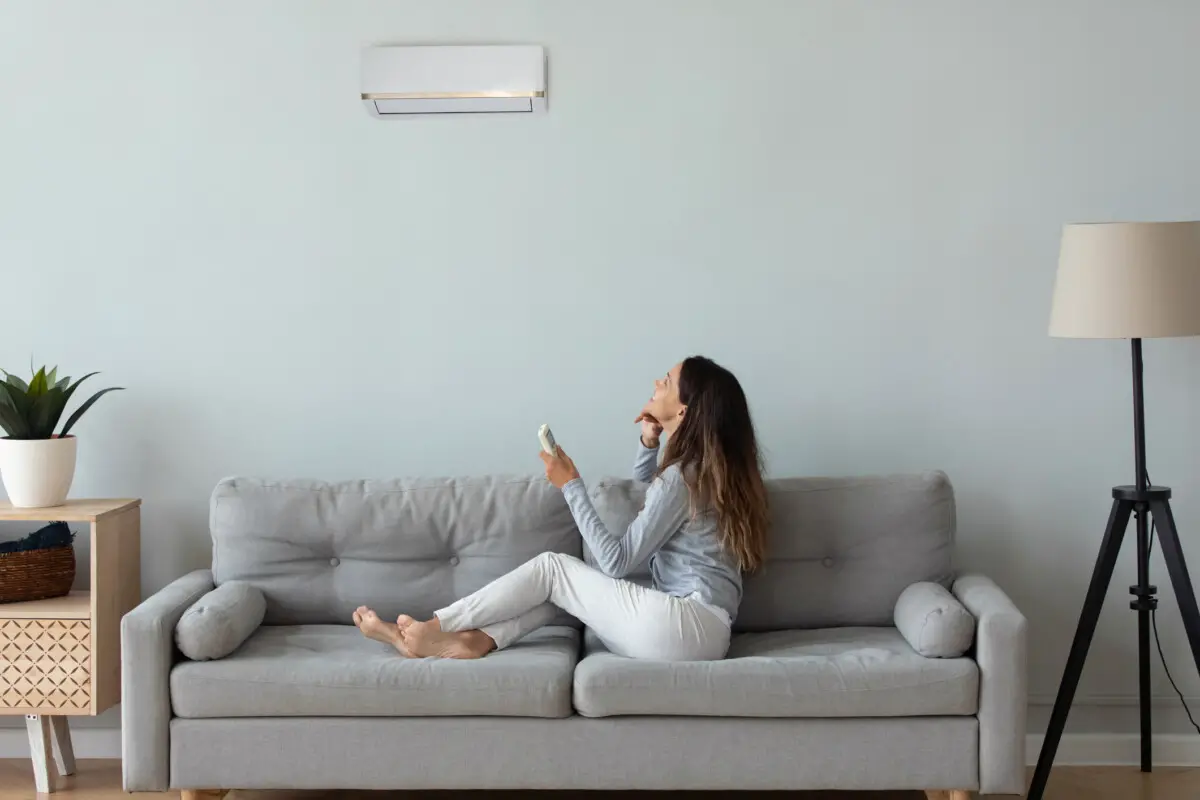 Bugs Attracted To Air Conditioners – And How To Keep Them Out