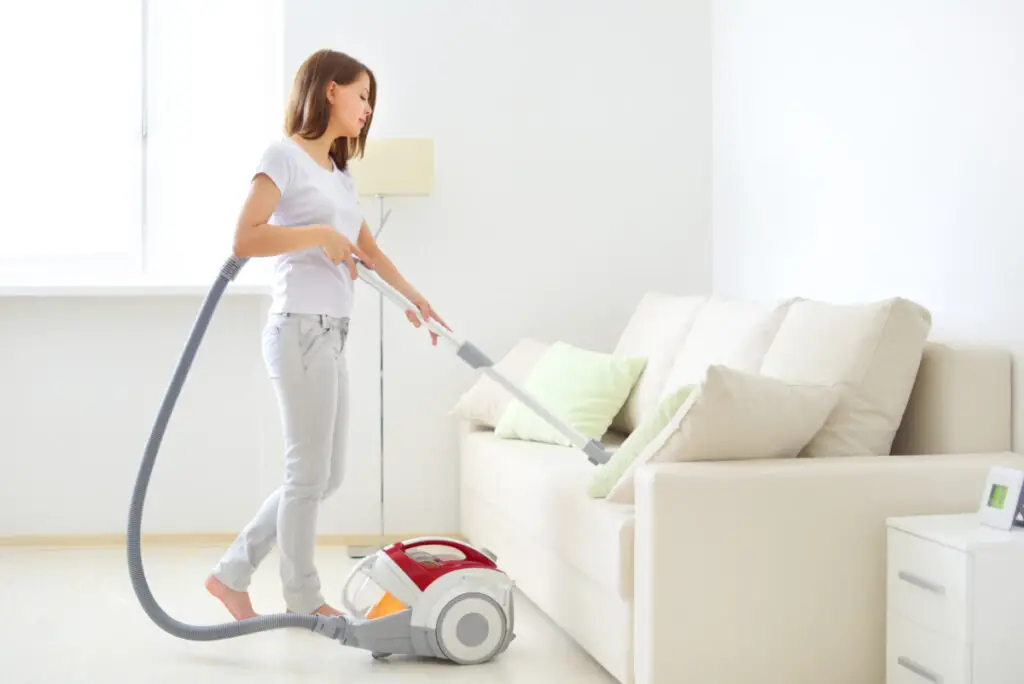 The Top Vacuums That Are Easy To Clean Plentiful Air