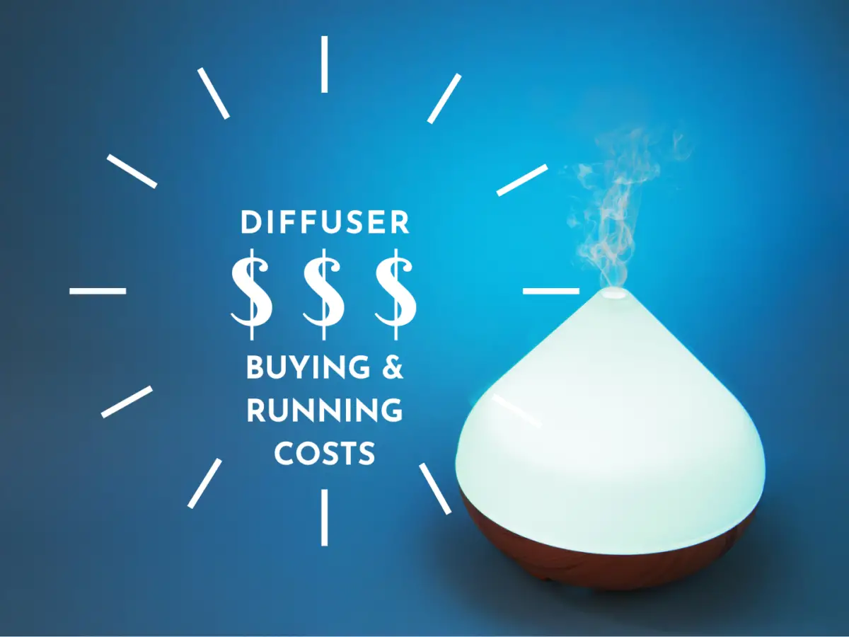 How Much Do Diffusers Cost To Buy And Run