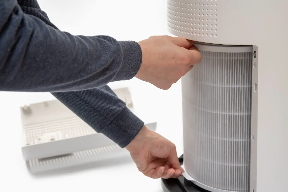 Do Air Purifiers Really Dehumidify All You Need To Know Plentiful Air
