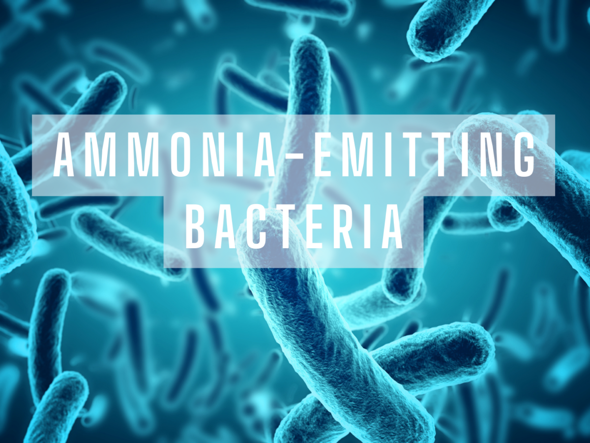 Peeyew! Why Does My AC Smell Like Urine? Plentiful Air