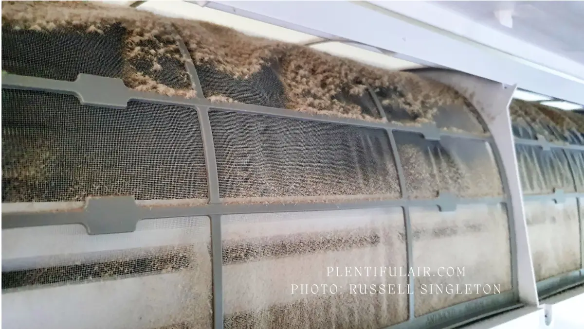 8 Reasons Why Your Air Conditioner Filter Is So Dirty Plentiful Air