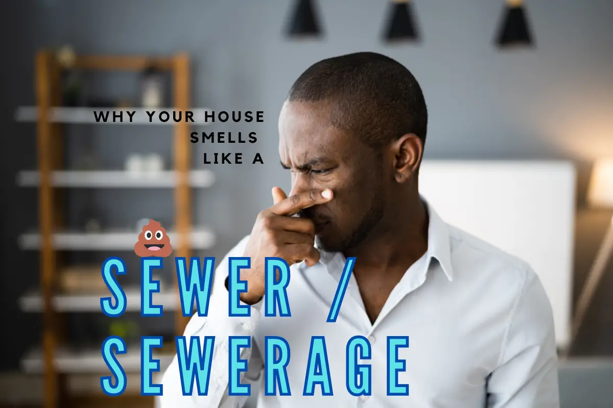 Why Your House Smells Like A Sewer: Causes And Solutions
