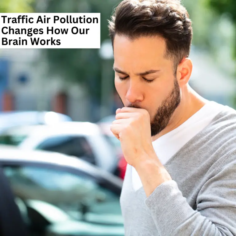 New study finds traffic air pollution changes how our brain works.