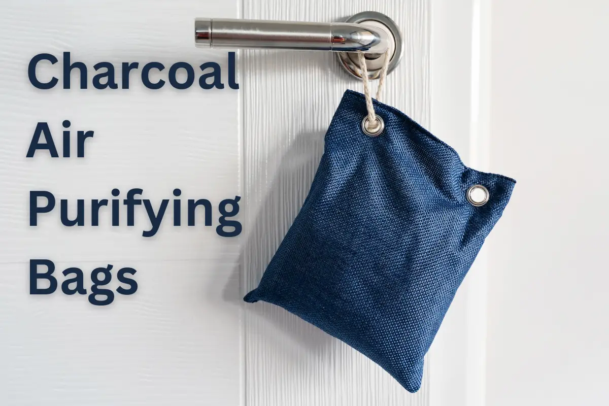 How Charcoal Air Purifying Bags Actually Work Plentiful Air