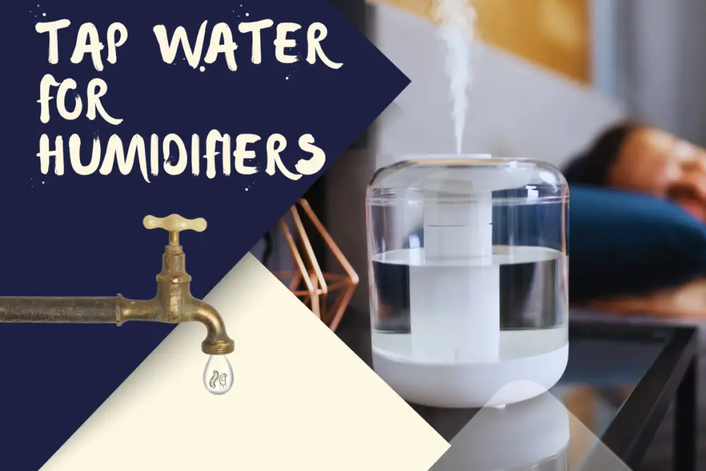The Do's and Don'ts of Using Tap Water in Your Humidifier including which water is best for humidifiers and the aerosolization of bacteria and minerals by humidifiers.