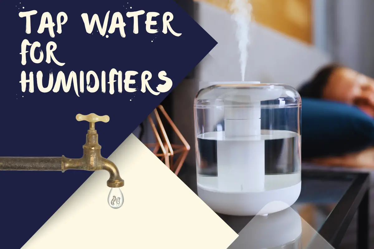 The Do’s and Don’ts of Using Tap Water in Your Humidifier