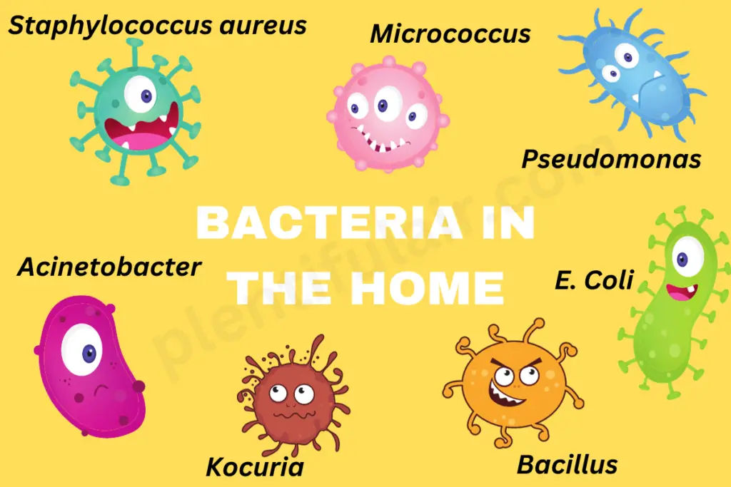 Common airborne bacteria found in our homes that air purifiers can remove, including Micrococcus, Bacillus, Kocuria, and Acinetobacter.