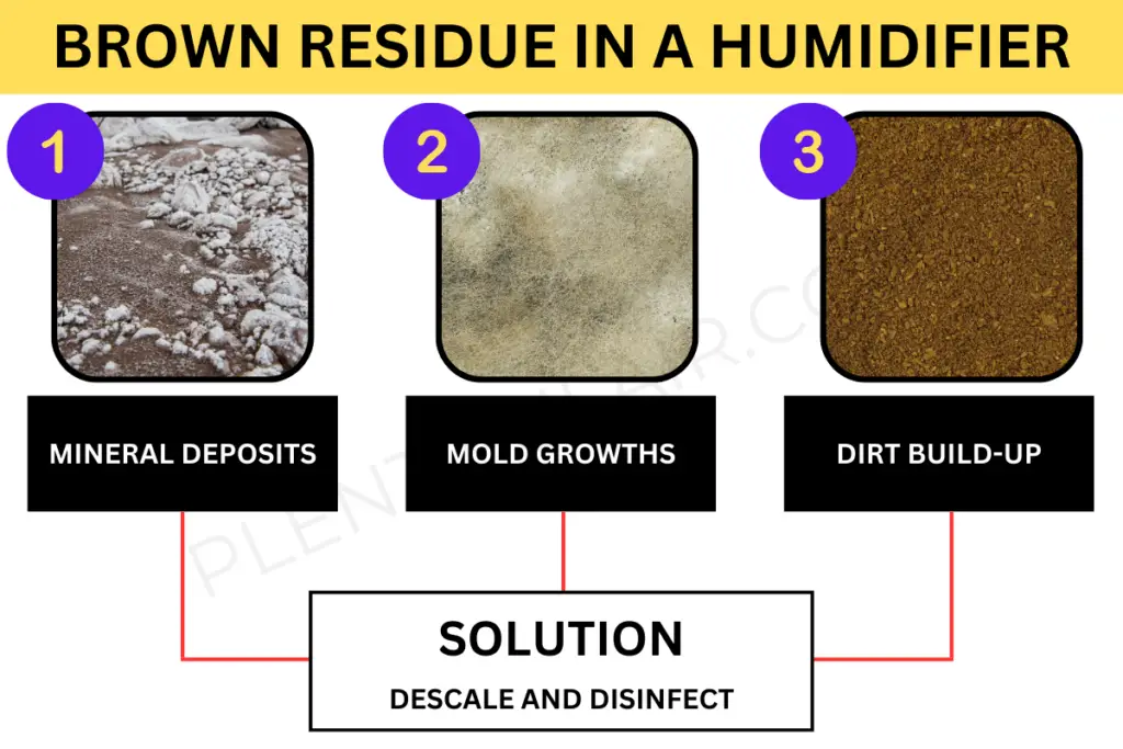 Infographic about what causes brown stuff in a humidifier. Including mineral deposits, mold growths and dirt-buildup. These can also combine into one sediment layer. The solution is to descale and disinfect the unit.