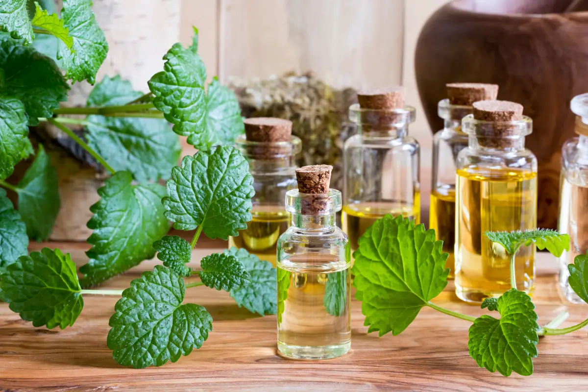 Essential Oils High In Citral – Sources And Scents