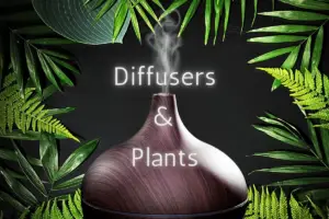 How Diffusers Affect Plants – Growth, Pests And Suffocation