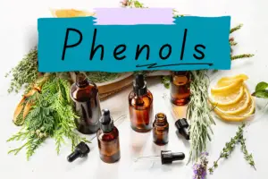 Essential Oils High In Phenols – Benefits And Applications