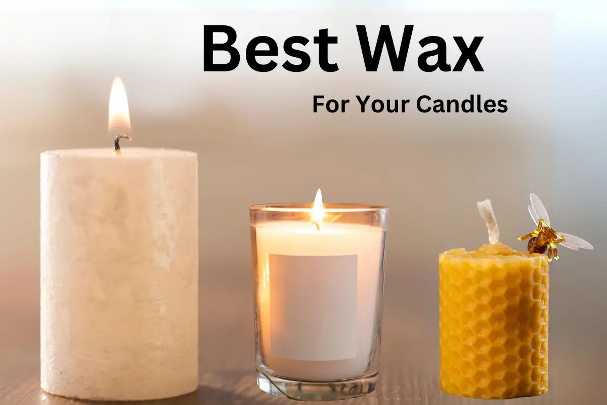 Soy vs Beeswax vs Paraffin [Which Candle Wax Is Best?]